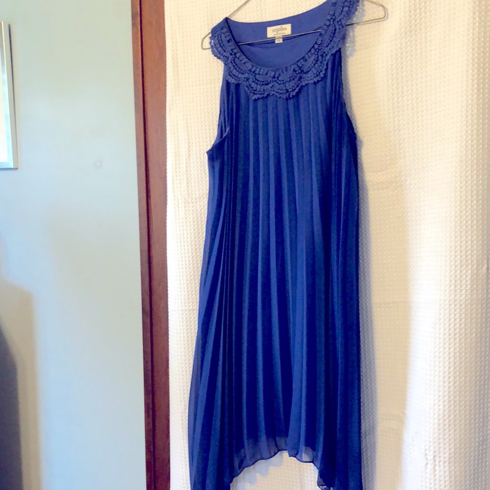 Blue Pleated Dress